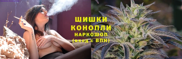 винт Касимов